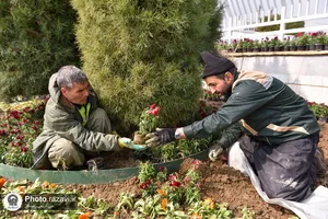 گل آرایی عیدانه حرم مطهر رضوی