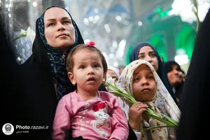 گلباران حرم مطهر رضوی در روز میلاد حضرت معصومه سلام الله علیها