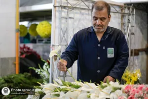 آماده&zwnj;سازی گل&zwnj;های حرم مطهر رضوی در دهه کرامت