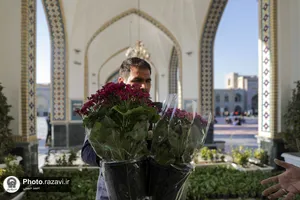 اهدا 2 هزار شاخه گل به حرم مطهر رضوی