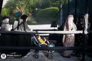 موکب تبرکخانه سلطان