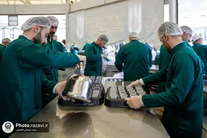 پذیرایی از زائران بارگاه منور رضوی توسط هیئت حضرت نرجس(س) عراق