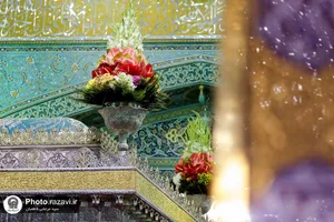گل آرایی ضریح مطهر امام رضا (ع) به&zwnj;مناسبت اعیاد شعبانیه