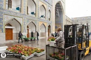 گل آرایی عیدانه حرم مطهر رضوی