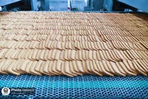 بازدید رئیس سازمان ملی استاندارد از شرکت صنایع غذایی رضوی