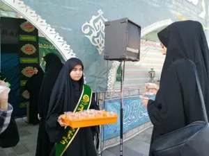 بانوان همدانی در موکب نجما، هم&zwnj;نوا با سوگ امام رضا (ع) + تصاویر