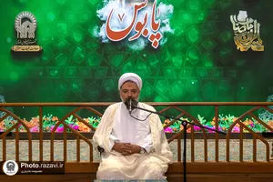 تشرف هیئت خانوادگی مدارس امام رضا علیه&zwnj;السلام به حرم مطهر رضوی