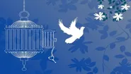 نگاه پر مهر امام رئوف (ع) ۴ مادر زندانی را به آغوش خانواده بازگرداند
