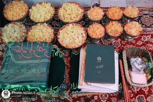نبات
