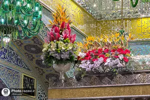 گل&zwnj;آرایی ضریح مطهر رضوی به مناسبت اعیاد شعبانیه