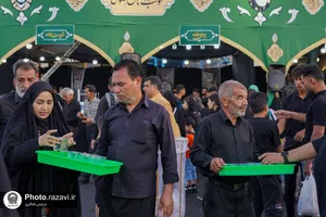 موکب جوانان رضوی