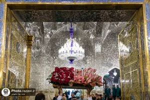 گل&zwnj;آرایی ضریح مطهر رضوی در آستانه ولادت امام رضا علیه&zwnj;السلام