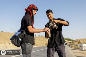 قدم به قدم تا حرم