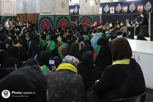 تشرف زائران کشور ترکیه به حرم مطهر رضوی