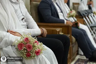 پیوندِ سبز در حریمِ خورشید