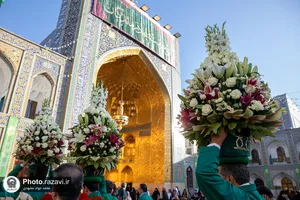 گل آرایی ضریح مطهر رضوی در دهه کرامت
