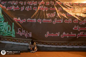 زائران پیاده امام رضا علیه&zwnj;السلام-2