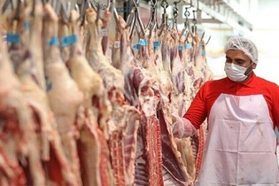 توزیع بیش از ۲ تُن گوشت گرم بین محرومان خراسان شمالی
