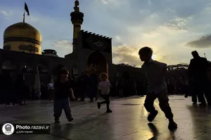 نمایشگاه عکس آرام جان