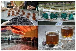 ‏‏سخاوت جنوب در ضیافت بی‌پایان خورشید