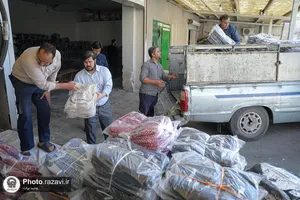 توزیع لوازم&zwnj;التحریر