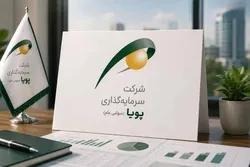 رشد ۱۵۲ درصدی درآمد ماهانه «وپویا» در مرداد ۱۴۰۵