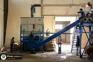 راه&zwnj;اندازی کارخانه کرک&zwnj;زدایی بذر پنبه