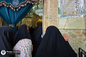 حال و هوای حرم حضرت معصومه(س) در روز ولادت پیامبر اکرم(ص)