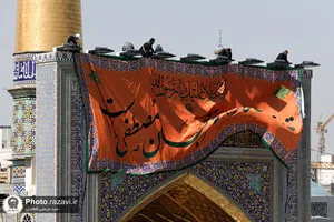 نصب کتیبه&zwnj;های ولادت پیامبر اکرم در حرم مطهر رضوی