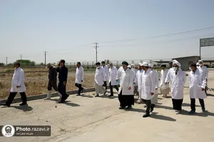 بازدید مشاوران وقف و نذر از واحدهای کشاورزی، لبنی و دامپروری رضوی