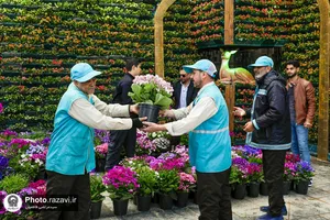 به استقبال بهار در حرم مطهر رضوی