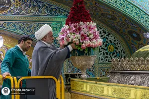 گل آرایی ضریح مطهر رضوی در دهه کرامت