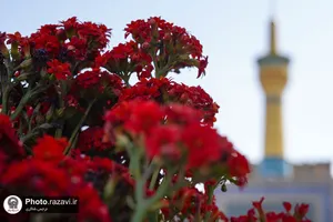 اردیبهشت در این قطعه از بهشت