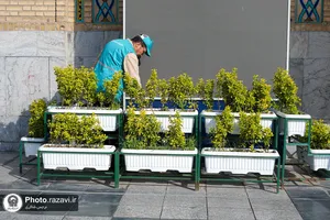 خدمات تنظیف در حرم مطهر رضوی