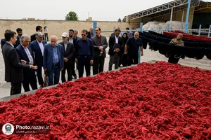 بازدید اعضای فرهنگستان هنر از کارخانه فرش آستان قدس رضوی