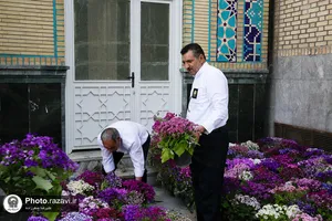 استقبال از بهار در حرم مطهر رضوی