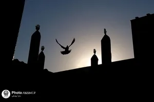 نمایشگاه عکس آرام جان