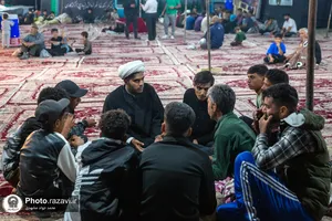 زائران پیاده امام رضا علیه&zwnj;السلام-2