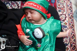 آیین معنوی &laquo;شیرخوارگان حسینی&raquo; در حرم مطهر رضوی