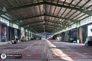 زائرین پیاده حضرت رضا علیه&zwnj;السلام در مسیر ملک&zwnj;آباد