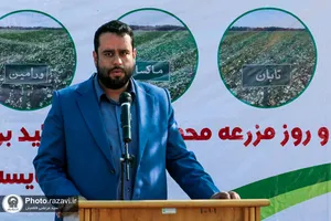 نشست مدیران و فعالان صنعت پنبه کشور