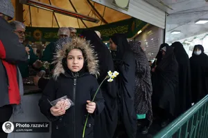 توزیع گل نرگس در چایخانه حرم مطهر رضوی