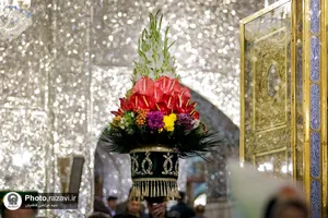 گل آرایی ضریح مطهر امام رضا (ع) به&zwnj;مناسبت اعیاد شعبانیه