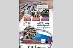 تولید روزانه ۳۲۰ تن شیر باکیفیت در صنایع دامپروری و لبنی رضوی