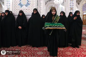 نبات