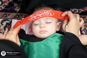 آیین معنوی &laquo;شیرخوارگان حسینی&raquo; در حرم مطهر رضوی