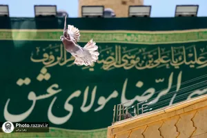 حرم مطهر رضوی در دهه کرامت - 2