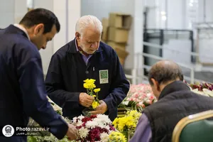 آماده&zwnj;سازی گل&zwnj;های حرم مطهر رضوی در دهه کرامت