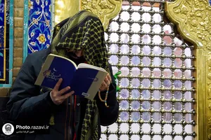 مراسم احیا شب بیست و سوم ماه مبارک رمضان در حرم مطهر رضوی - 3