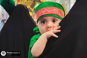 ارادت عزاداران حسینی در حرم رضوی